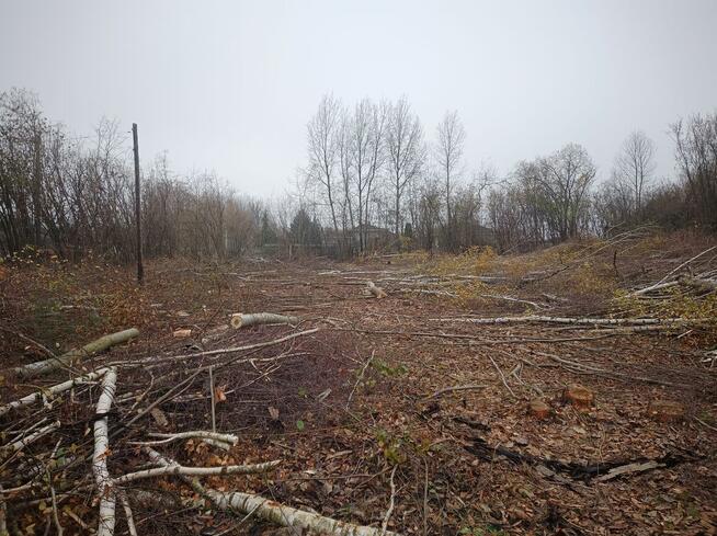 Wycinka drzew itp...