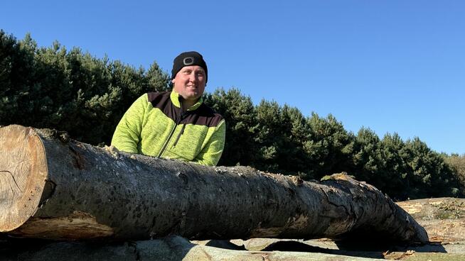 Profesjonalna Wycinka Drzew WYCINAMY ZA DARMO (za drewno)!