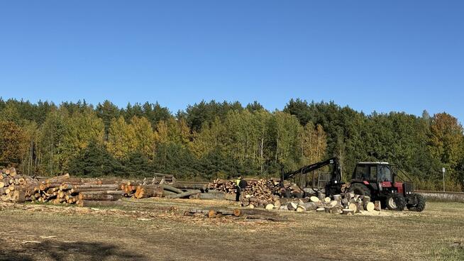 Profesjonalna Wycinka Drzew WYCINAMY ZA DARMO (za drewno)!