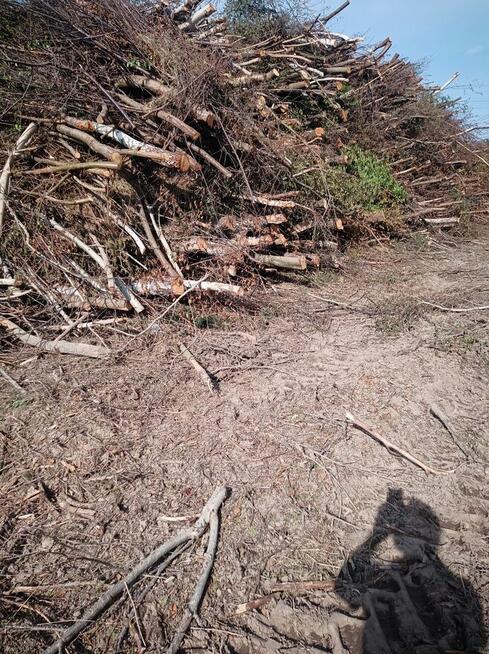 Wycinka drzew itp...