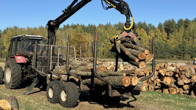 Profesjonalna Wycinka Drzew WYCINAMY ZA DARMO (za drewno)!
