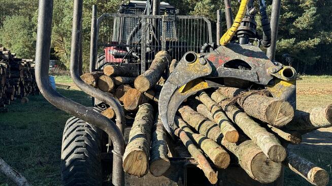 Profesjonalna Wycinka Drzew WYCINAMY ZA DARMO (za drewno)!