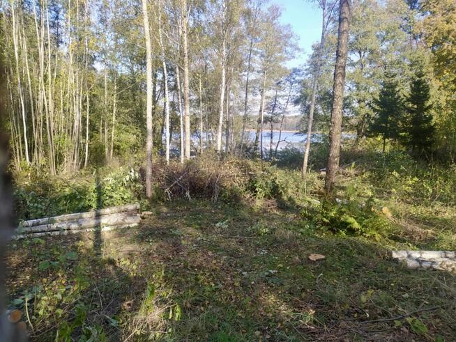 Profesjonalna Wycinka Drzew WYCINAMY ZA DARMO (za drewno)!