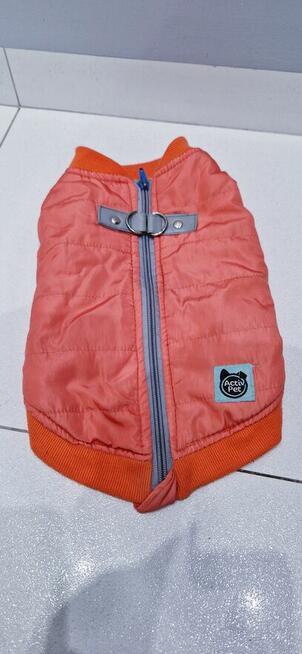 Zimowa kurteczka dla pieska + GRATIS