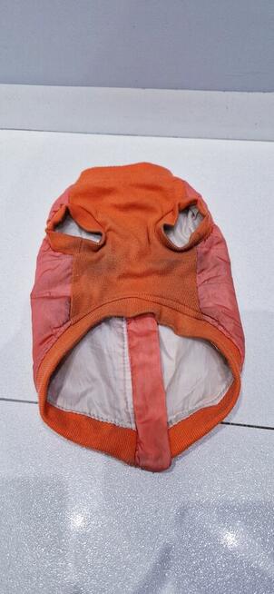 Zimowa kurteczka dla pieska + GRATIS