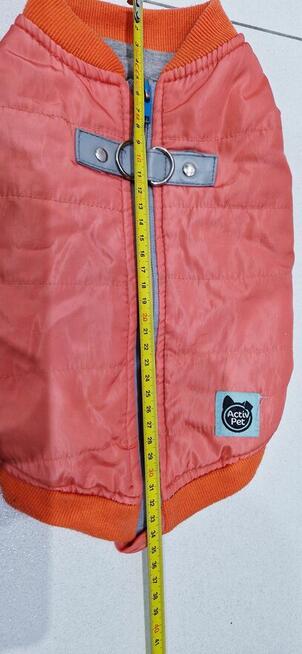 Zimowa kurteczka dla pieska + GRATIS