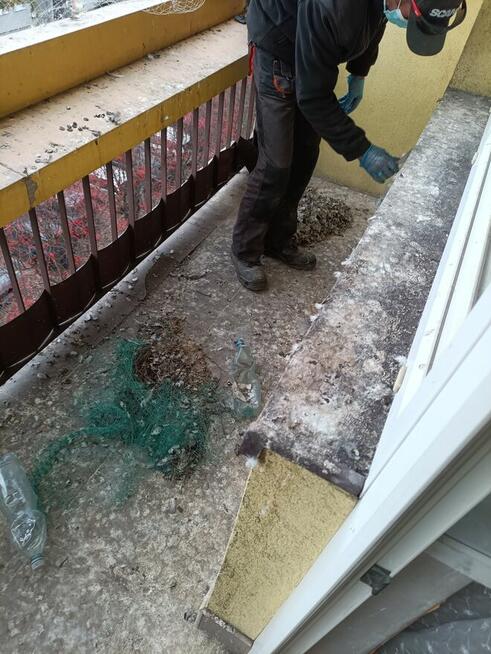 Sprzątanie balkonów usuwanie ptasich odchodów