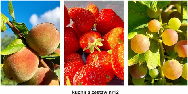 obrazy, plakaty PREMIUM, kuchnia, zestaw 3szt. A3, wzory...