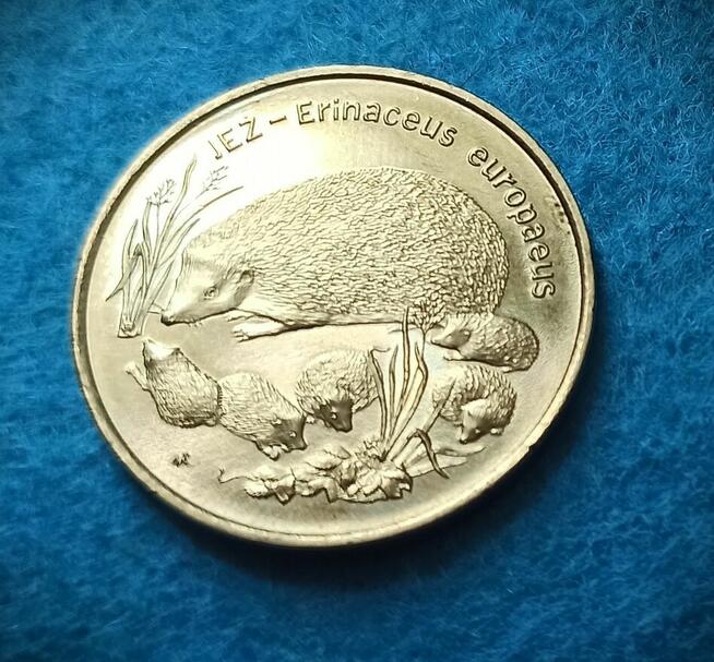 2 zł 1996 r. Jeż - Piękny!