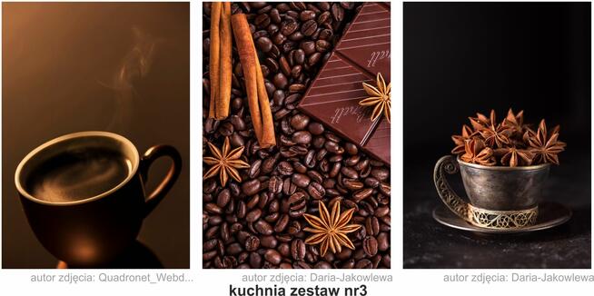 obrazy, plakaty PREMIUM, kuchnia, zestaw 3szt. A3, wzory...
