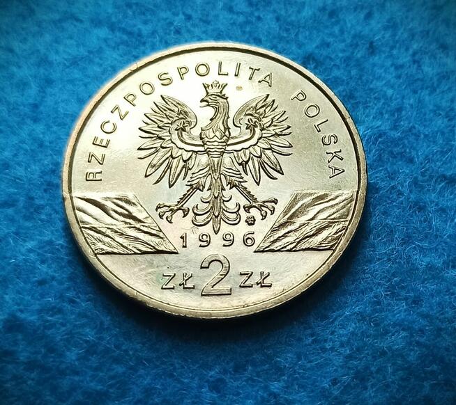 2 zł 1996 r. Jeż - Piękny!