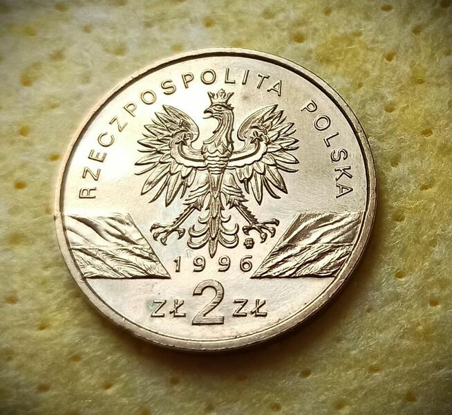 2 zł 1996 r. Jeż - Piękny!