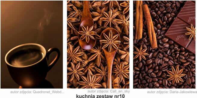 obrazy, plakaty PREMIUM, kuchnia, zestaw 3szt. A3, wzory...