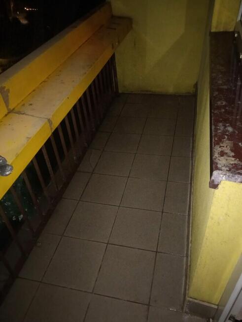 Sprzątanie balkonów usuwanie ptasich odchodów