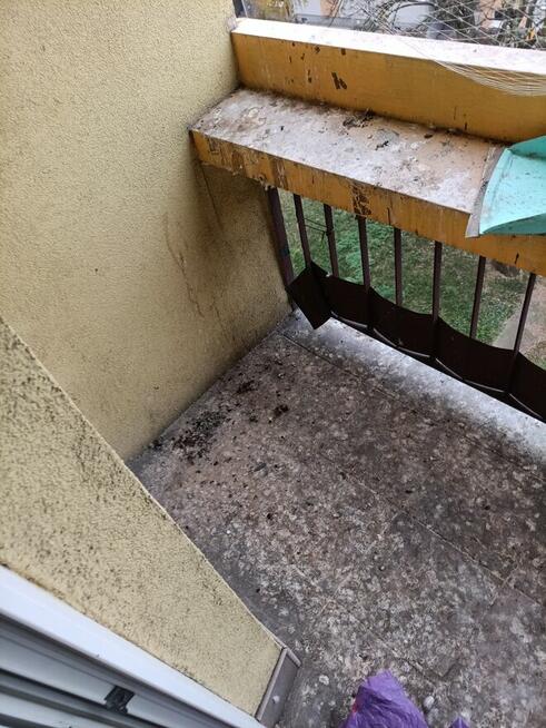 Sprzątanie balkonów usuwanie ptasich odchodów