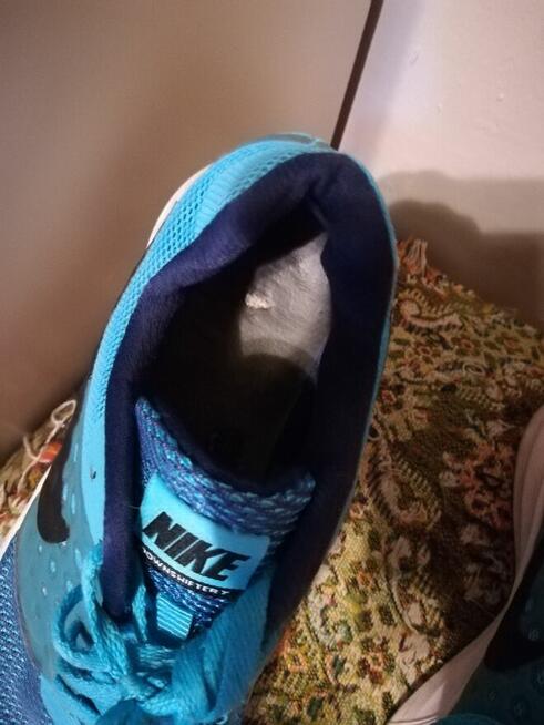 Buty Nike damskie