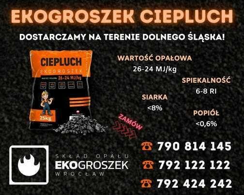 Ciepluch 25mj Ekogroszek workowany