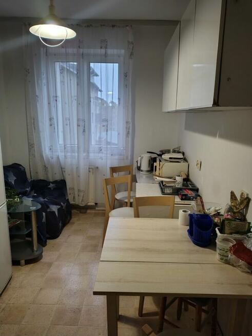 1-osobowy przytulny pokój do wynajęcia