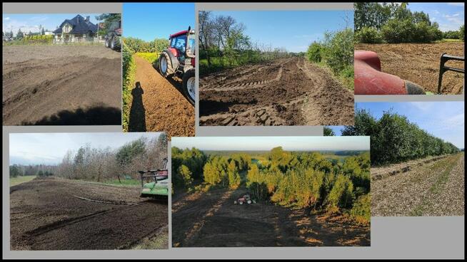 REKULTYWACJA Czyszczenie działki MULCZER LEŚNY wycinka drzew