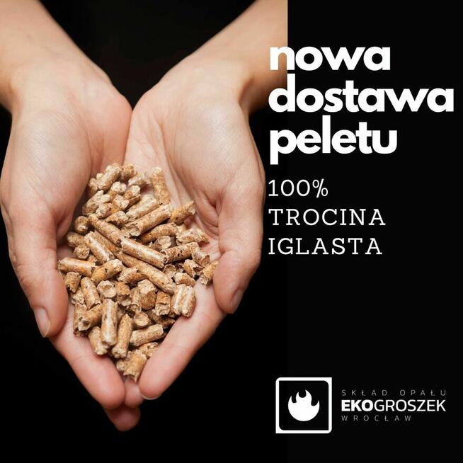 Pellet - Rozgrzewa bardziej niż widok rachunku za prąd...