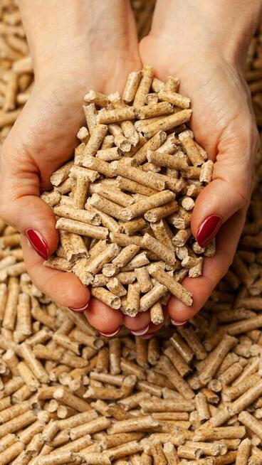 Pellet - Rozgrzewa bardziej niż widok rachunku za prąd...