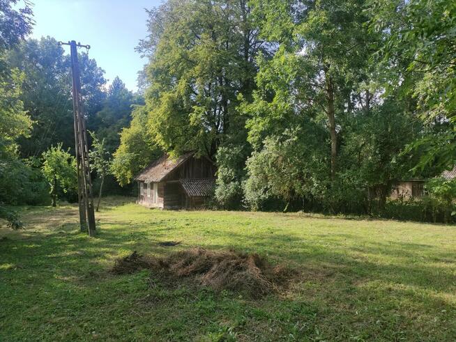 Siedlisko z małym domkiem i olszyną