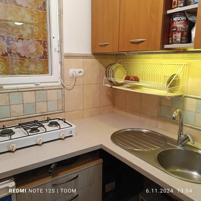 Działka ROD pod Warszawą (Komorów) ul.Turystyczna 25