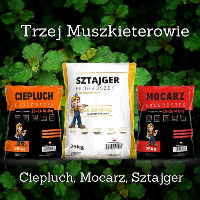 ekogroszek workowany, dobry z polskich kopalni, transport