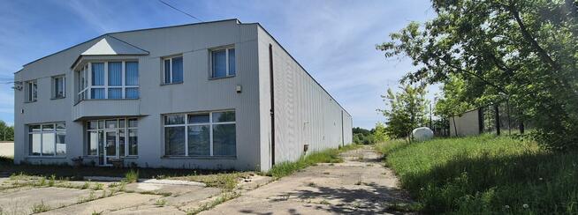 magazyn do wynajęcia