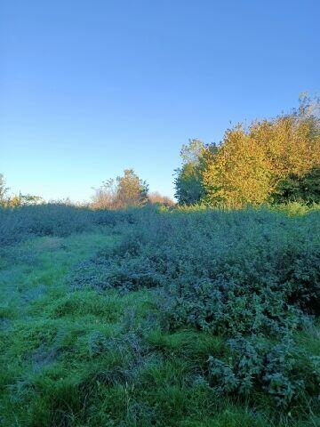 Sprzedam działkę z domem