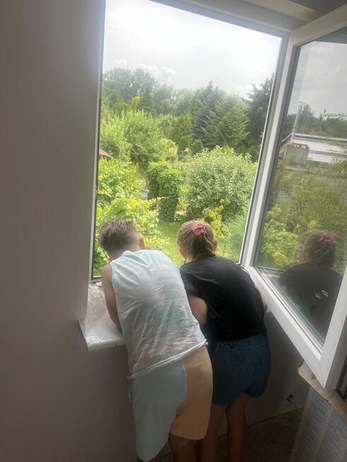 Działka ROD im.Piotra Skargi Poznań ul. Leszczyńska 58