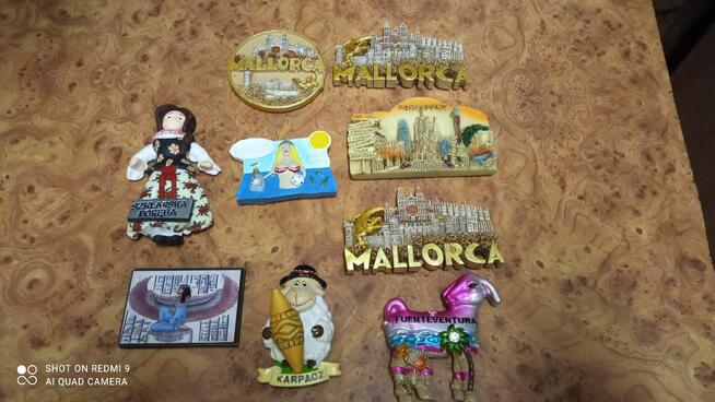 Magnes na lodówkę sprzedam