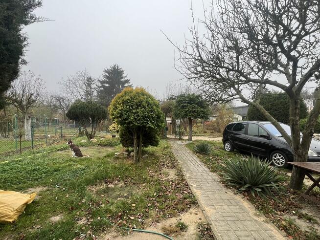 Działka ROD im.Piotra Skargi Poznań ul. Leszczyńska 58