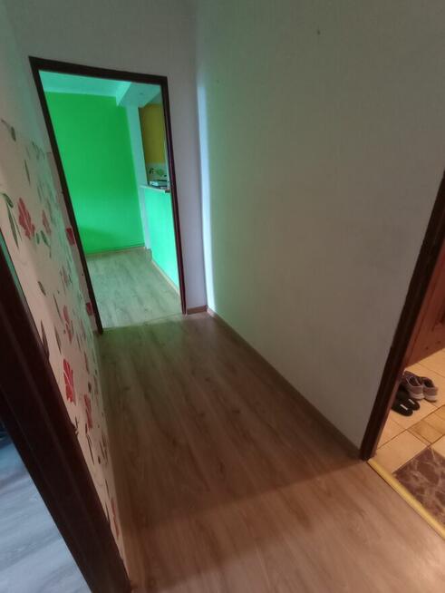 Mieszkanie bezczynszowe 43,95m2 Olszanka (Kraśniczyn)