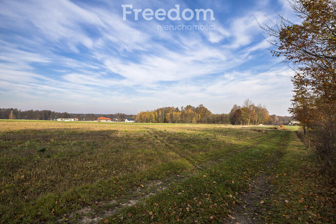 Działka w Maleniskach – Idealna pod inwestycję