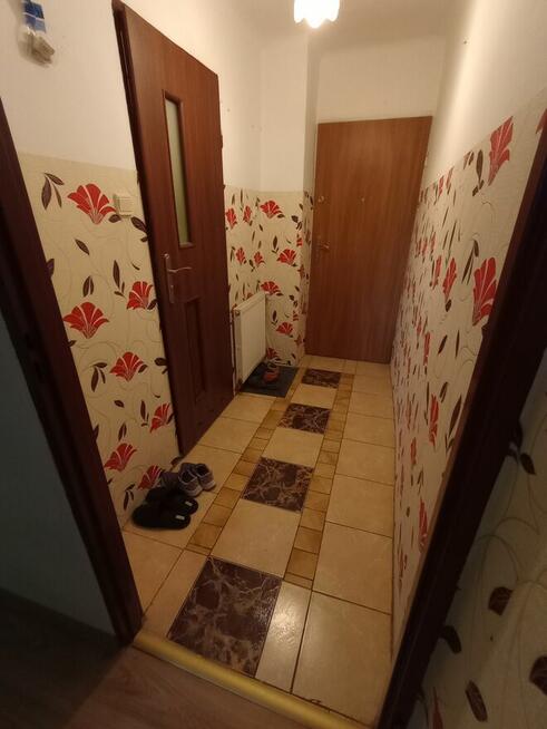 Mieszkanie bezczynszowe 43,95m2 Olszanka (Kraśniczyn)