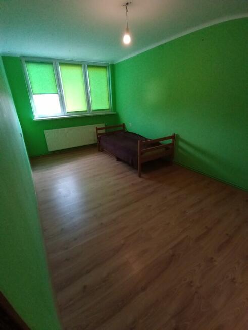 Mieszkanie bezczynszowe 43,95m2 Olszanka (Kraśniczyn)