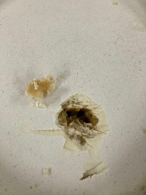 miód lipowy z Łotwy