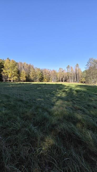 Działki, łąki Myszków 2270 m2