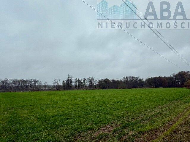 Wacławów gm. Lądek - działka inwestycyjna/ komercyjna