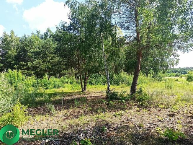 Ojrzanów działka budowlano- leśna 2241m2