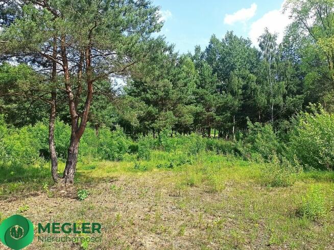 Ojrzanów działka budowlano- leśna 2241m2