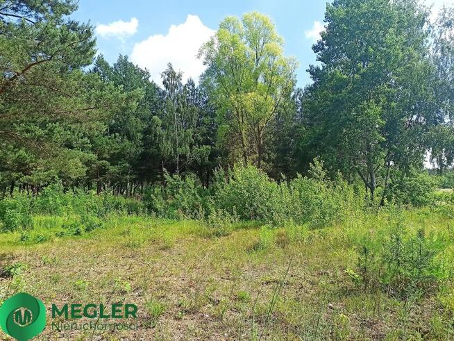 Ojrzanów działka w otulinie lasu