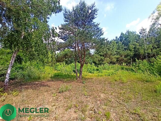 Ojrzanów działka w otulinie lasu