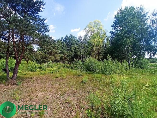 Ojrzanów działka w otulinie lasu