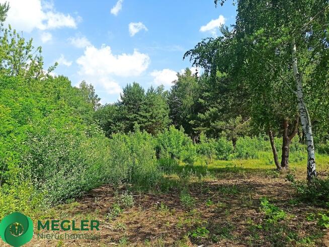 Ojrzanów działka w otulinie lasu