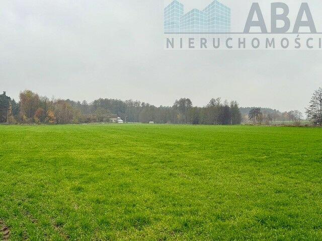 Wacławów gm. Lądek - działka inwestycyjna/ komercyjna