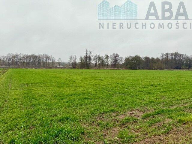 Wacławów gm. Lądek - działka inwestycyjna/ komercyjna