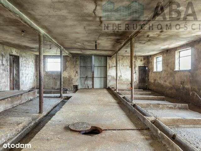 Duże siedlisko z budynkiem mieszkalnym - Skotniki