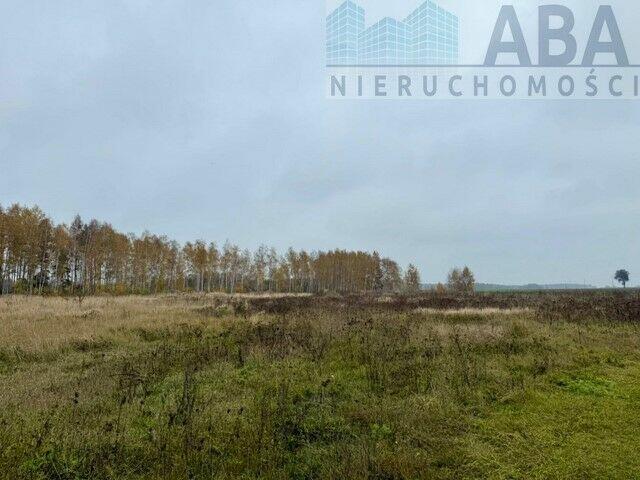 Wacławów gm. Lądek - działka inwestycyjna/ komercyjna